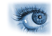 laser protection adviser services