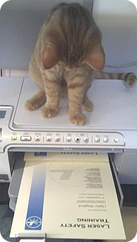 laser safety training